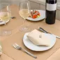 SERVIETTES ECOLABEL 2 PLIS