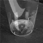 VERRES INJECTÉS 300 ML Ø 7,8/5,6x11,8 CM TRANSPARENT PS (500 UNITÉ) VERRES INJECTÉS