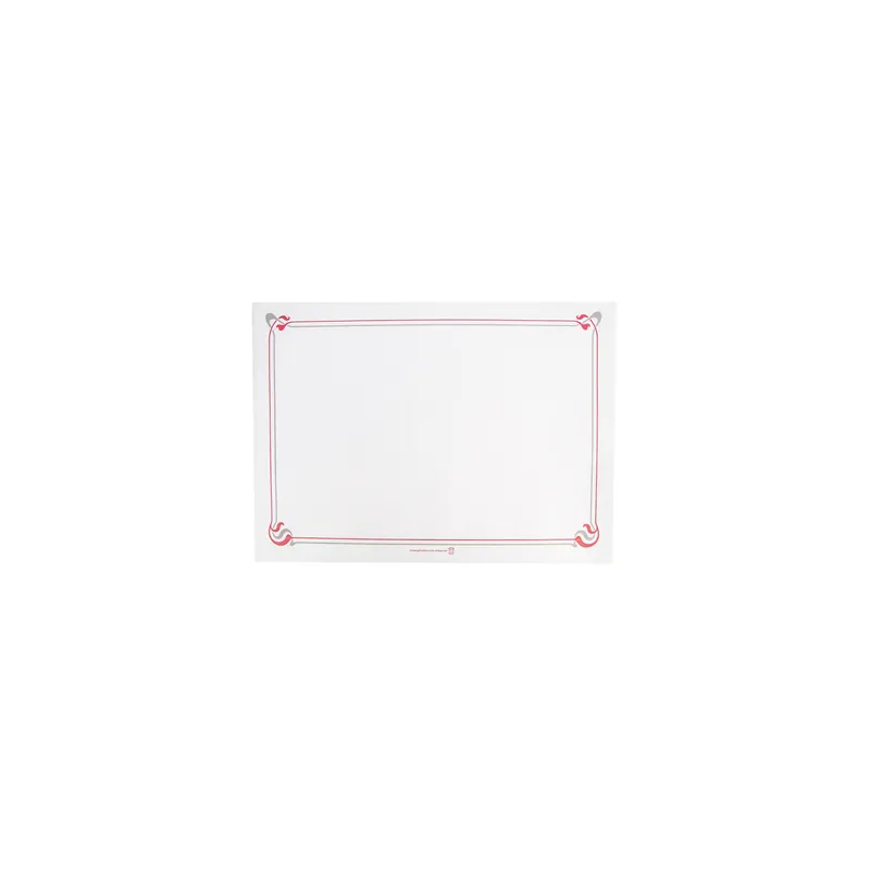 SETS DE TABLE 'MAXIM BORDEAUX' 48 G/M2 31x43 CM BLANC CELLULOSE (2000 UNITÉ)