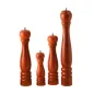 MOULIN À POIVRE Ø5,2x16,5 CM BOIS BOIS (1 UNITÉ) MOULIN À POIVRE