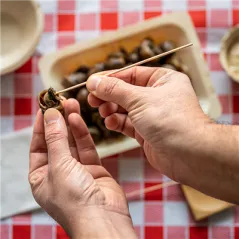 PIQUES POUR ESCARGOTS SOUS SACHET