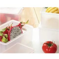 RÉCIPIENT ALIMENTS + COUVERCLE INCORPORÉ
