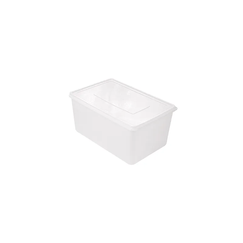 RÉCIPIENT ALIMENTS + COUVERCLE INCORPORÉ 6750 ML 30x20x15 CM BLANC PP (1 UNITÉ) RÉCIPIENT ALIMENTS + COUVERCLE INCORPORÉ 6750 ML 30x20x15 CM BLANC PP (1 UNITÉ)