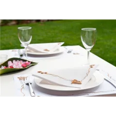 SETS DE TABLE 'BACCHUS' 48 G/M2 31x43 CM BLANC CELLULOSE (2000 UNITÉ)