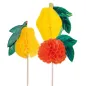 DÉCORS POUR GLACES - FRUITS
