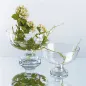 COUPE DÉCORATION