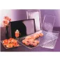PLATEAU POUR CLOCHES 37,4x27,3x2 CM TRANSPARENT ACRYLIQUE (1 UNITÉ) PLATEAU POUR CLOCHES