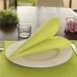 SERVIETTES ECOLABEL