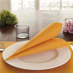 SERVIETTES ECOLABEL