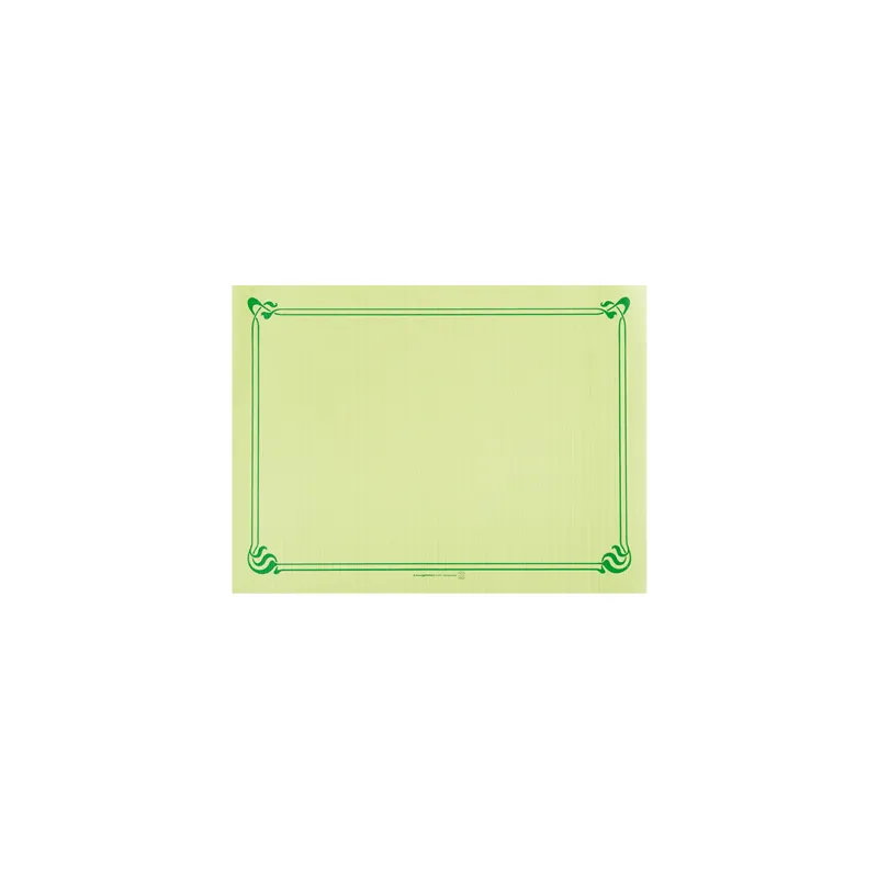 SETS DE TABLE  48 G/M2 31x43 CM VERT ANIS CELLULOSE (2000 UNITÉ)