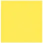 15 U. LAVETTES "MICROKLEEN" 130 G/M2 36x39 CM JAUNE MICROFIBRE (1 UNITÉ) 15 U. LAVETTES "MICROKLEEN"