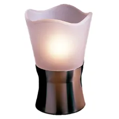 GLOBE LAMPE TULIPE