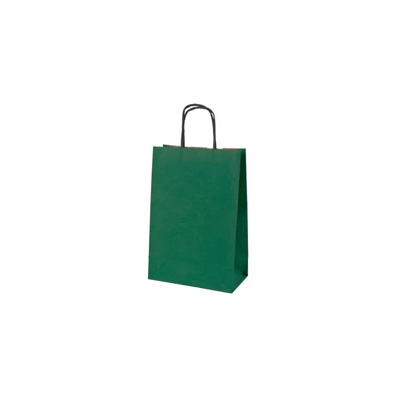 SACS SOS AVEC ANSES  80 G/M2 20+10x29 CM VERT KRAFT (250 UNITÉ)