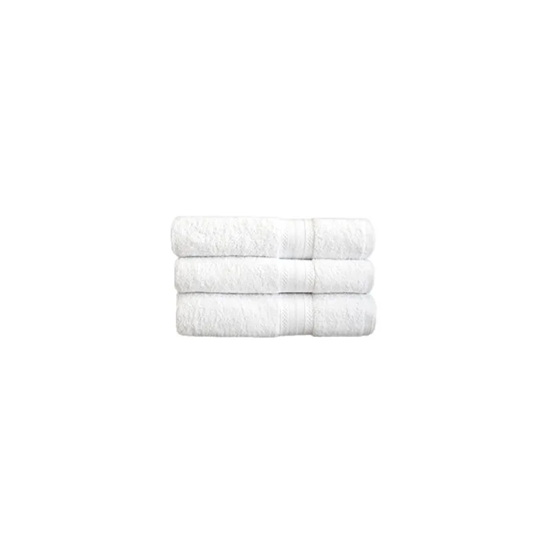 ESSUIE-MAINS 500 G/M2 50x100 CM BLANC COTON (1 UNITÉ) ESSUIE-MAINS 500 G/M2 50x100 CM BLANC COTON (1 UNITÉ)