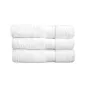ESSUIE-MAINS 500 G/M2 50x100 CM BLANC COTON (1 UNITÉ) ESSUIE-MAINS