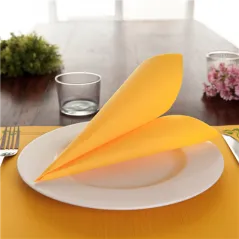 SERVIETTES ECOLABEL