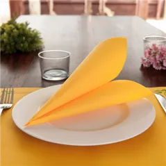 SERVIETTES ECOLABEL