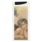 SACS COUVERTS + SERVIETTE
