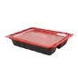 BARQUETTES MICRO-ONDABLE INDIVIDUEL 22,5x18x4,5 CM NOIR PP (400 UNITÉ) BARQUETTES MICRO-ONDABLE INDIVIDUEL