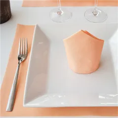 ASSIETTES CARRÉES