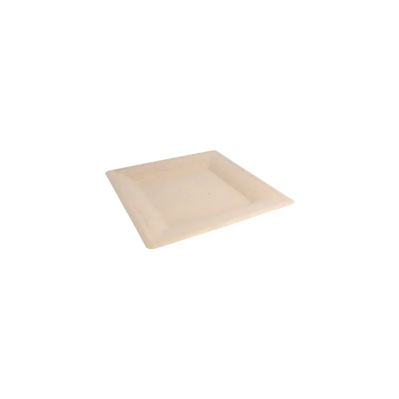 ASSIETTES CARRÉES BIONIC  26,2x26,2x1,4 CM NATUREL BAGASSE (500 UNITÉ)