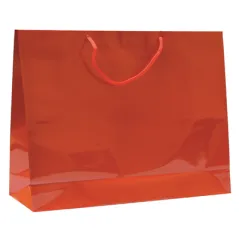 SAC BOUTIQUE ANSES CORDON