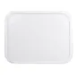 PLATEAU POUR COUPOLE 35,7x46 CM TRANSPARENT POLYCARBONATE (1 UNITÉ) PLATEAU POUR COUPOLE