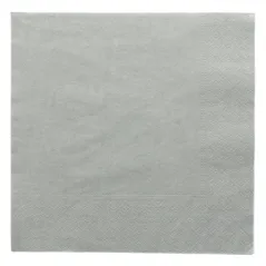 SERVIETTES ECOLABEL 2 PLIS