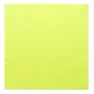 SERVIETTES ECOLABEL 2 PLIS 18 G/M2 39x39 CM VERT ANIS OUATE (1600 UNITÉ) SERVIETTES ECOLABEL 2 PLIS