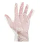 GANTS