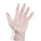 GANTS