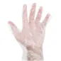 GANTS