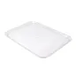 PLATEAU POUR COUPOLE 40,5x56 CM TRANSPARENT POLYCARBONATE (1 UNITÉ) PLATEAU POUR COUPOLE