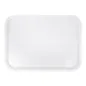 PLATEAU POUR COUPOLE 40,5x56 CM TRANSPARENT POLYCARBONATE (1 UNITÉ) PLATEAU POUR COUPOLE