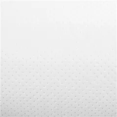 SERVIETTES MINI BARRIL ECOLABEL 1 PLIES