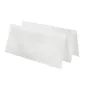 SERVIETTES « ZIGZAG » ECOLABEL 2 COUCHES