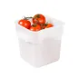 BAC ALIMENTAIRE