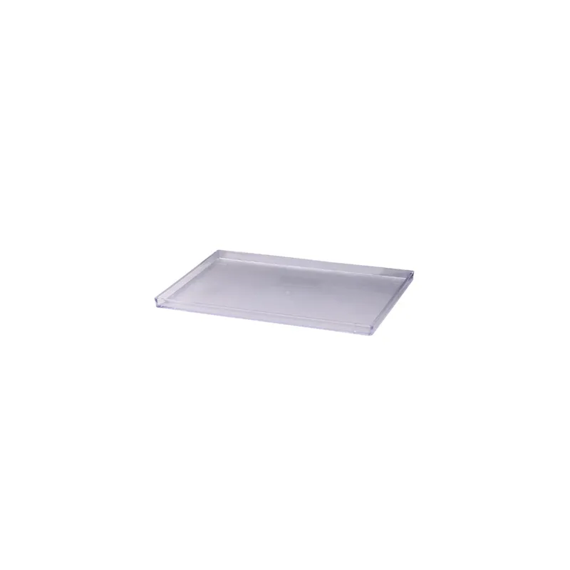 PLATEAU PRODUITS D'ACCUEIL 32x21,2x1,9 CM TRANSPARENT ABS (1 UNITÉ) PLATEAU PRODUITS D'ACCUEIL 32x21,2x1,9 CM TRANSPARENT ABS (1 UNITÉ)