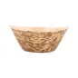 POTS