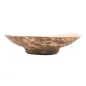 POTS
