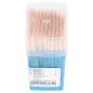 BOÎTES DE 100 CURE-DENTS RONDS