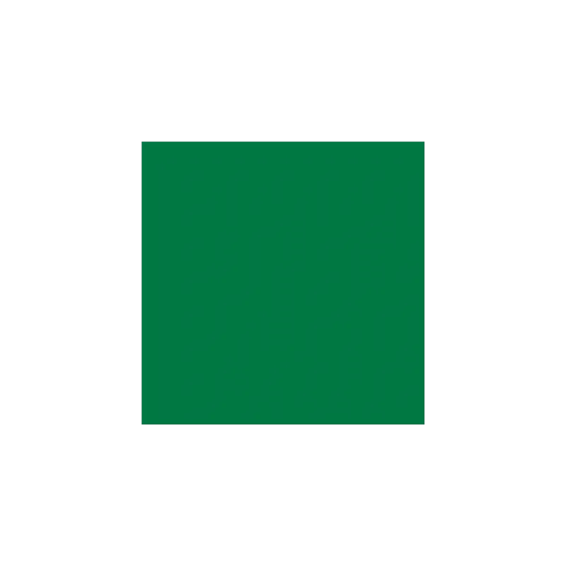 SERVIETTES  55 G/M2 40x40 CM VERT JAGUAR AIRLAID (700 UNITÉ)