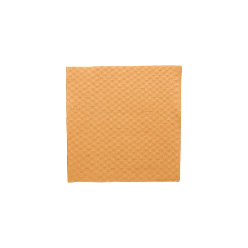 SERVIETTES ECOLABEL DOUBLE POINT  18 G/M2 39x39 CM CARAMEL OUATE (1200 UNITÉ)