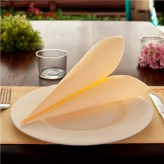 SERVIETTES ECOLABEL