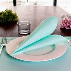 SERVIETTES ECOLABEL