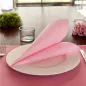 SERVIETTES ECOLABEL