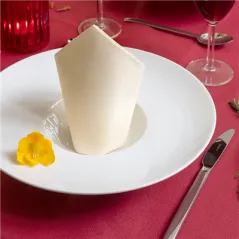 NAPPE EN ROULEAU
