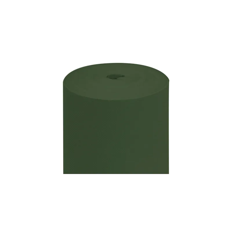 NAPPE EN ROULEAU 55 G/M2 1,20x50 M VERT JAGUAR AIRLAID (1 UNITÉ) NAPPE EN ROULEAU 55 G/M2 1,20x50 M VERT JAGUAR AIRLAID (1 UNITÉ)