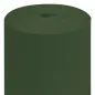 NAPPE EN ROULEAU 55 G/M2 1,20x50 M VERT JAGUAR AIRLAID (1 UNITÉ) NAPPE EN ROULEAU