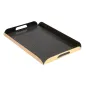 PLATEAUX AVEC ANSES 750 G/M2 28x19+2 CM NOIR/OR CARTON (25 UNITÉ) PLATEAUX AVEC ANSES